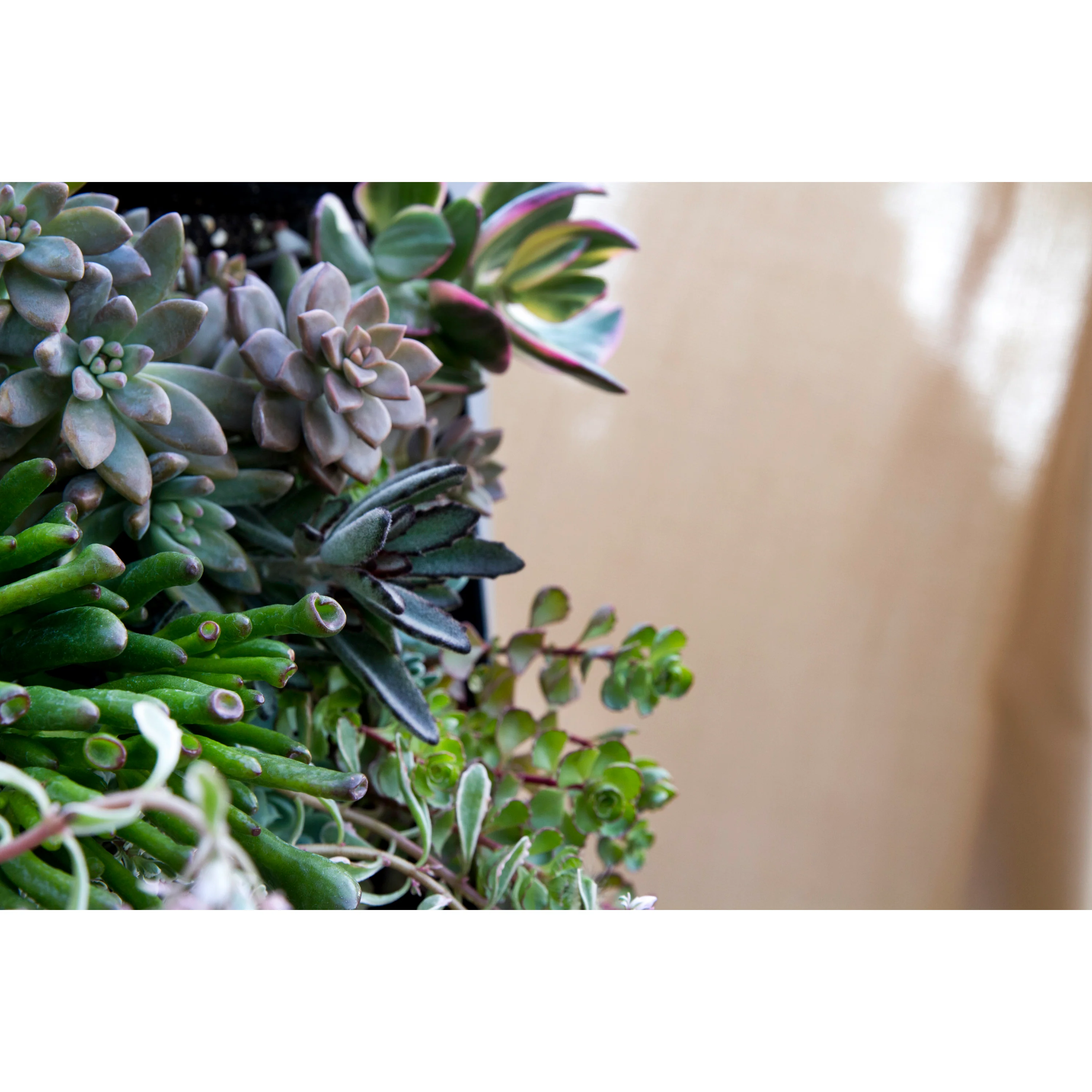 Vineyard Deep Seating Chair - Image 6